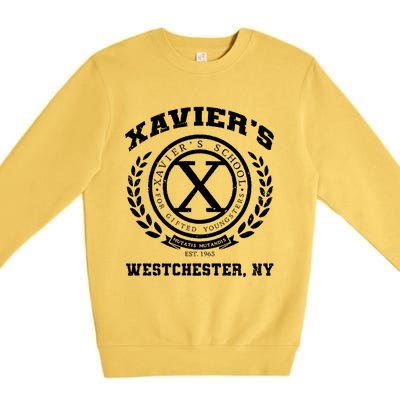 Vintage XavierS School For Gifted Youngsters Premium Crewneck Sweatshirt