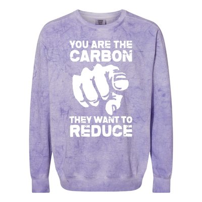 Vintage You Are The Carbon They Want To Reduce Funny Colorblast Crewneck Sweatshirt