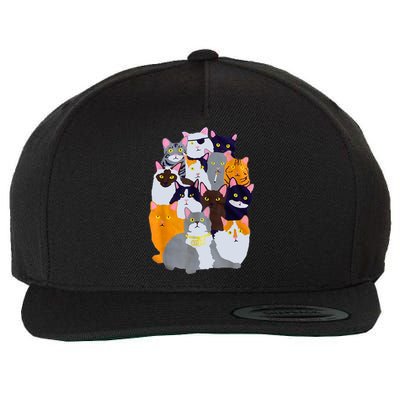 Vintage Y2K Enjoi Cat Gang Cute Cat Mom Cat Dad Cat Lover TShirt Wool Snapback Cap