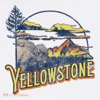 Vintage Yellowstone National Park Retro 80S Style Graphic Tall T-Shirt