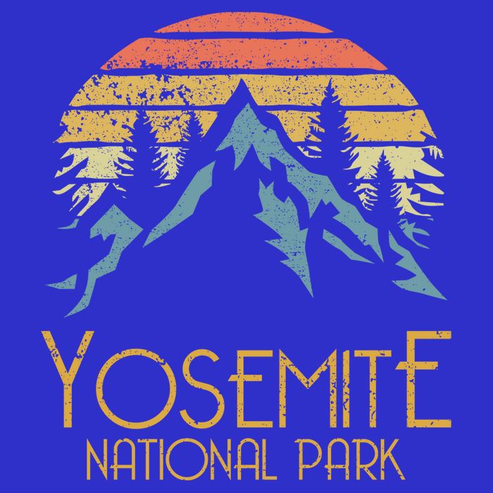 Vintage Yosemite National Park California Gift Womens Tank Top