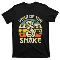 Vintage Year Of Snake 2025 Chinese New Year Snake Zodiac T-Shirt