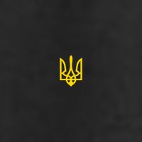 Volodymyr Zelenskyy Army Military Coat Of Arms I Stand With Ukraine 7 Panel Mesh Trucker Snapback Hat