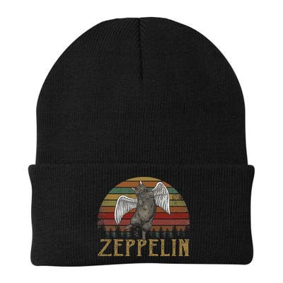 Vintage Zeppelin Name Distressed Music CatS Lover Animals Beanie