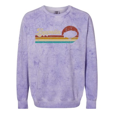 Vintage Zeppelin Retro Sunset Funny Dirigible Airship Colorblast Crewneck Sweatshirt