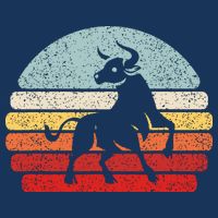 Vintage Zodiac Sign Taurus Womens T-Shirt