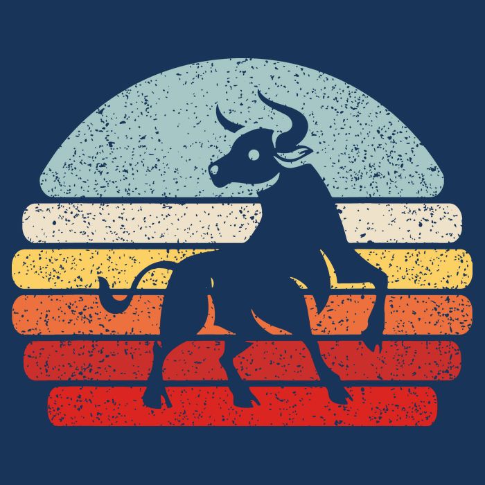 Vintage Zodiac Sign Taurus Womens T-Shirt