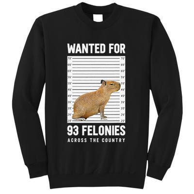 Wanted 93 Felonies Capybara Mugshots Rodent Owners Sweatshirt