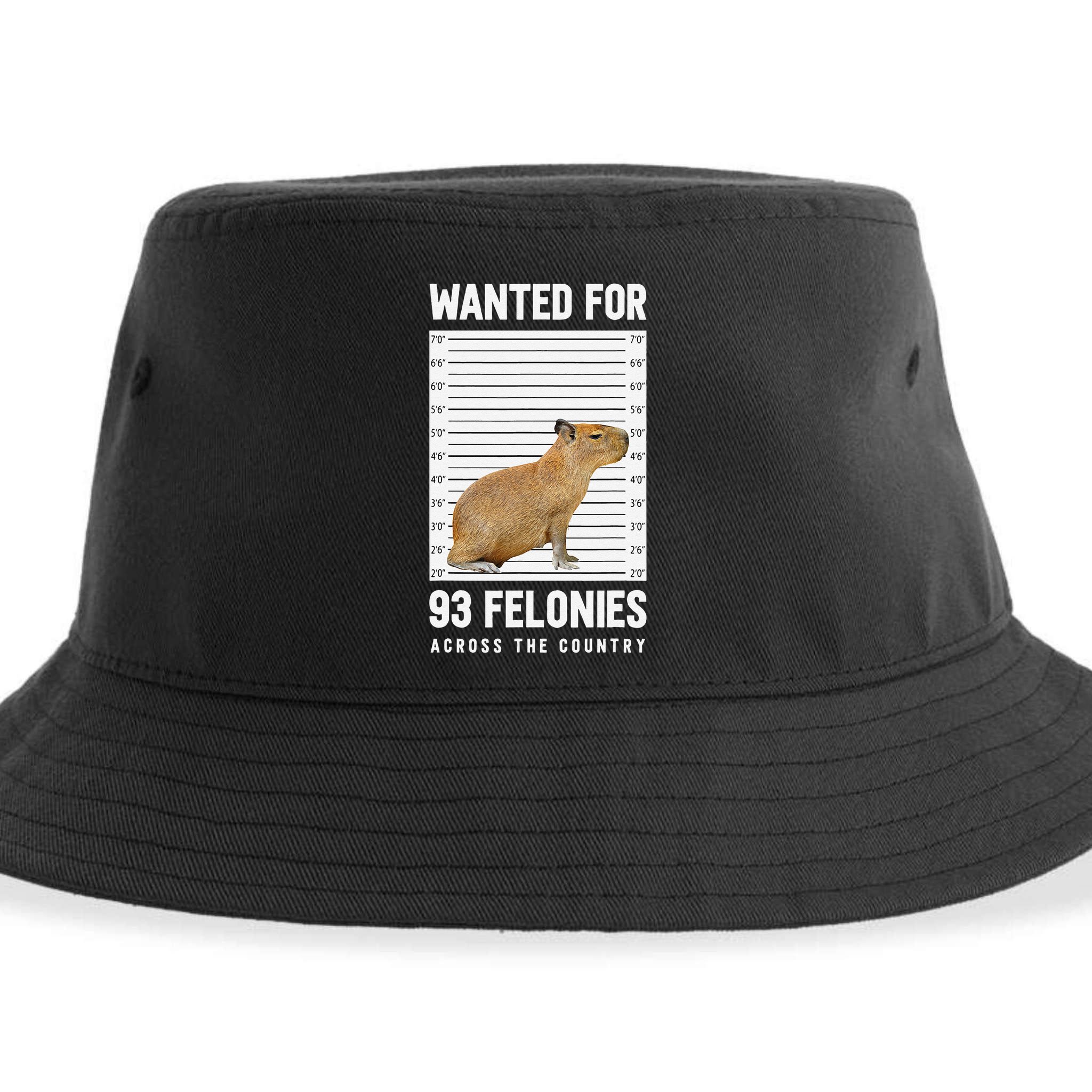 Wanted 93 Felonies Capybara Mugshots Rodent Owners Sustainable Bucket Hat