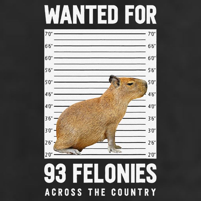 Wanted 93 Felonies Capybara Mugshots Rodent Owners Adult Drive Performance Visor
