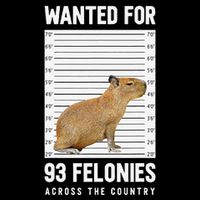 Wanted 93 Felonies Capybara Mugshots Rodent Owners 16 in Basic Backpack