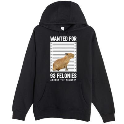 Wanted 93 Felonies Capybara Mugshots Rodent Owners Premium Pullover Hoodie