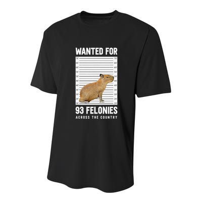 Wanted 93 Felonies Capybara Mugshots Rodent Owners Youth Performance Sprint T-Shirt