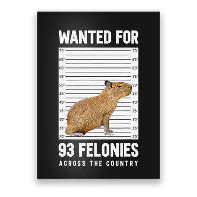 Wanted 93 Felonies Capybara Mugshots Rodent Owners Poster