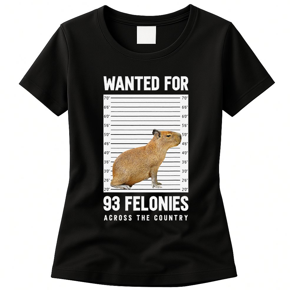 Wanted 93 Felonies Capybara Mugshots Rodent Owners Womens T-Shirt