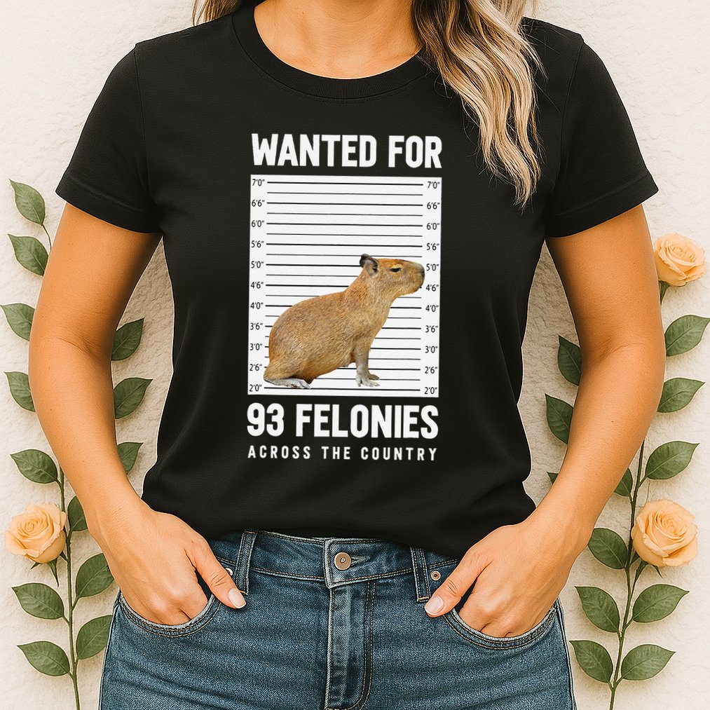 Wanted 93 Felonies Capybara Mugshots Rodent Owners Womens T-Shirt
