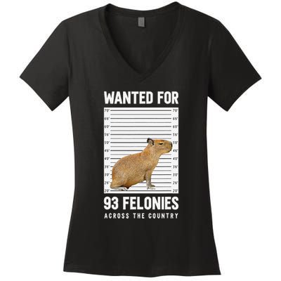 Wanted 93 Felonies Capybara Mugshots Rodent Owners Women's V-Neck T-Shirt