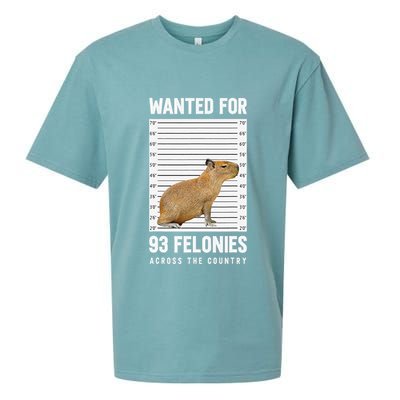 Wanted 93 Felonies Capybara Mugshots Rodent Owners Sueded Cloud Jersey T-Shirt