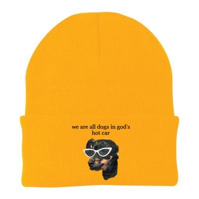 We Are All Dogs In God’S Hot Car Knit Cap Winter Beanie