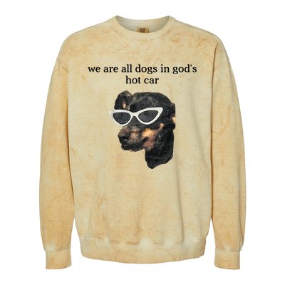 We Are All Dogs In God’S Hot Car Colorblast Crewneck Sweatshirt