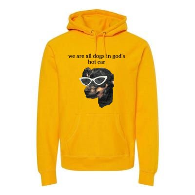 We Are All Dogs In God’S Hot Car Premium Hoodie