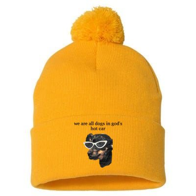 We Are All Dogs In God’S Hot Car Pom Pom 12in Knit Beanie