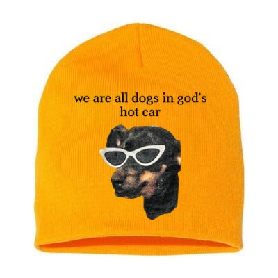 We Are All Dogs In God’S Hot Car Short Acrylic Beanie