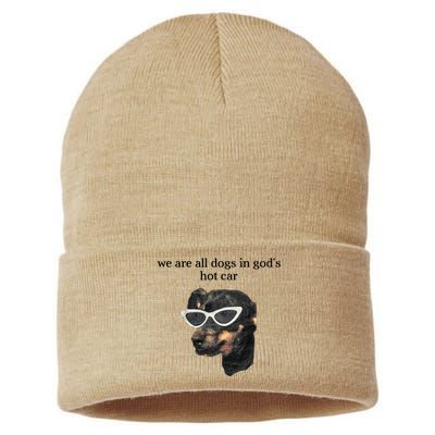 We Are All Dogs In God’S Hot Car Sustainable Knit Beanie