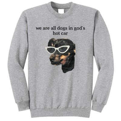 We Are All Dogs In God’S Hot Car Tall Sweatshirt