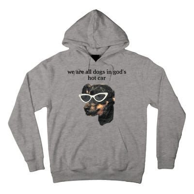 We Are All Dogs In God’S Hot Car Tall Hoodie