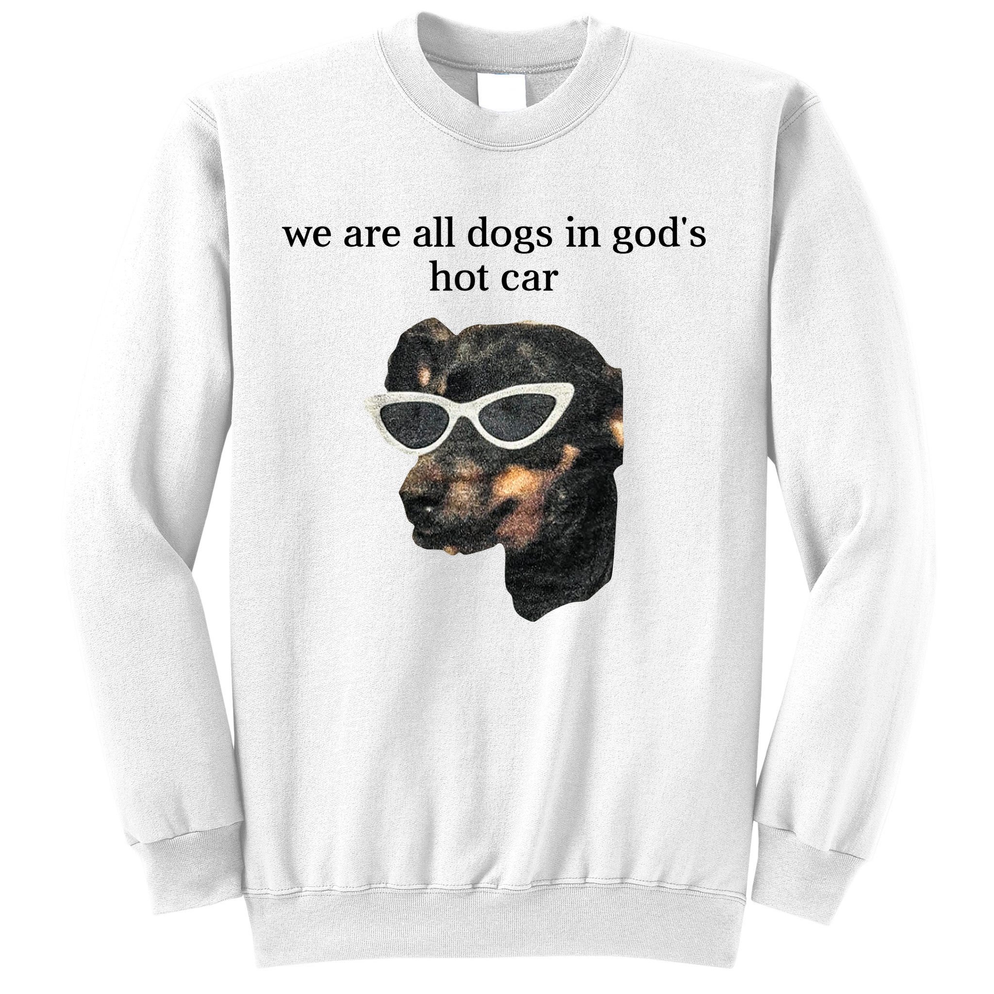 We Are All Dogs In God’S Hot Car Sweatshirt