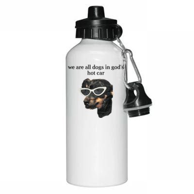 We Are All Dogs In God’S Hot Car Aluminum Water Bottle