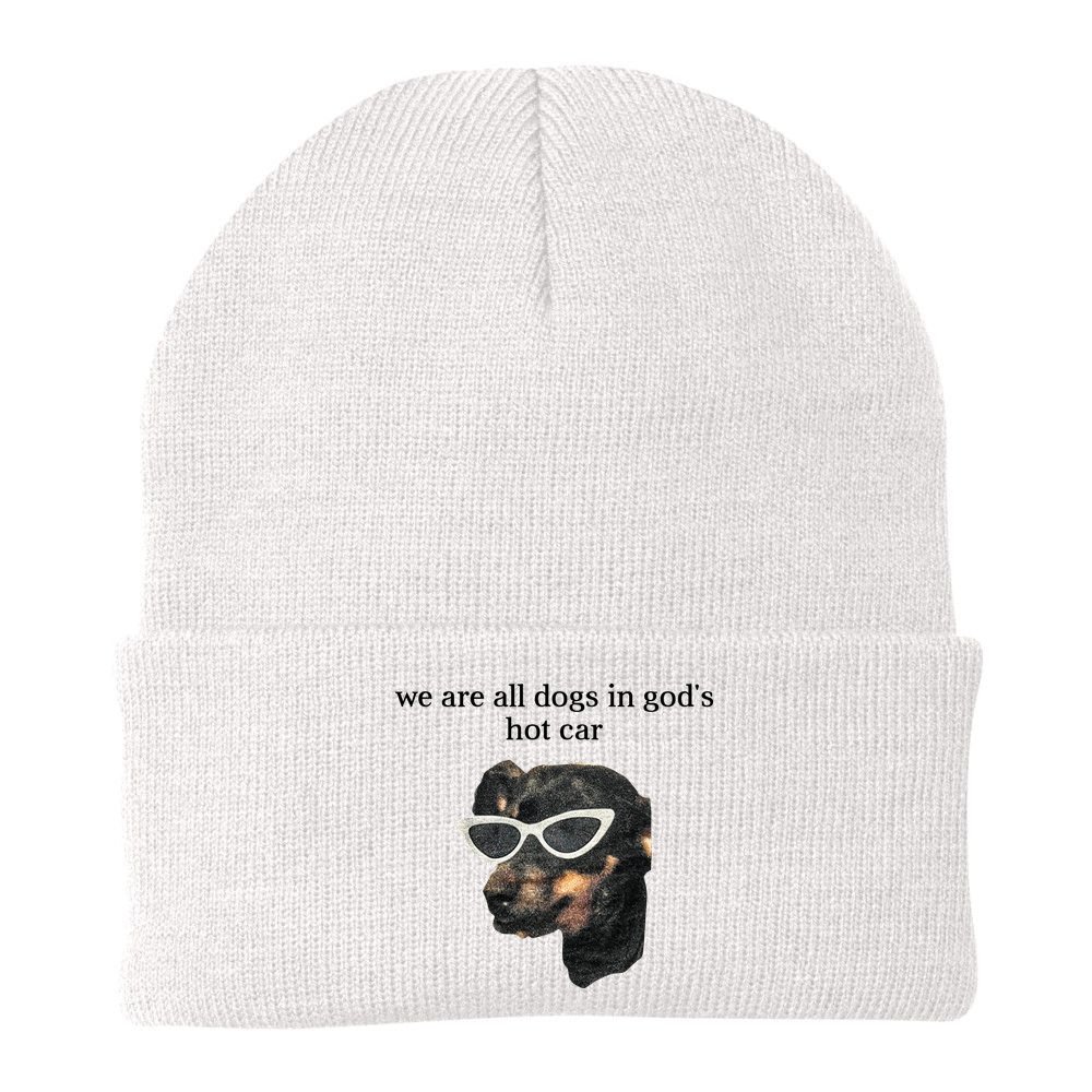 We Are All Dogs In God’S Hot Car Beanie