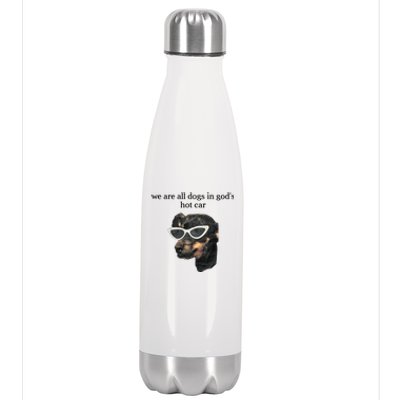 We Are All Dogs In God’S Hot Car Stainless Steel Insulated Water Bottle