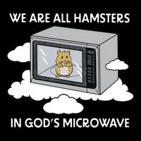 We Are All Hamsters In Gods Microwave Funny Stripe Pom Pom Beanie