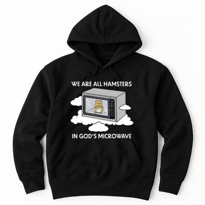 We Are All Hamsters In Gods Microwave Funny Hoodie