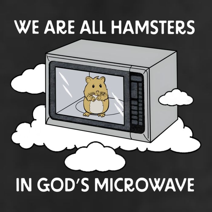 We Are All Hamsters In Gods Microwave Funny Adult Drive Performance Visor