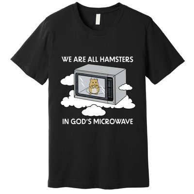 We Are All Hamsters In Gods Microwave Funny Premium T-Shirt