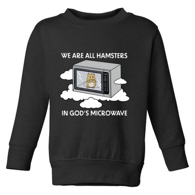We Are All Hamsters In Gods Microwave Funny Toddler Sweatshirt