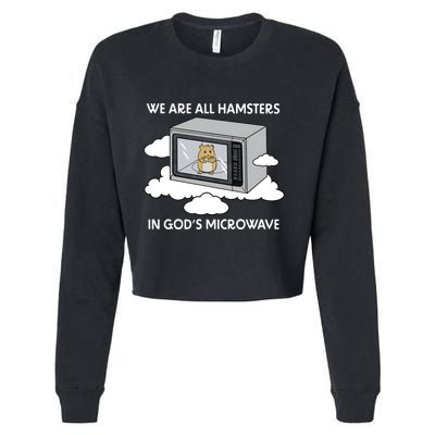We Are All Hamsters In Gods Microwave Funny Cropped Pullover Crew
