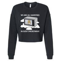 We Are All Hamsters In Gods Microwave Funny Cropped Pullover Crew