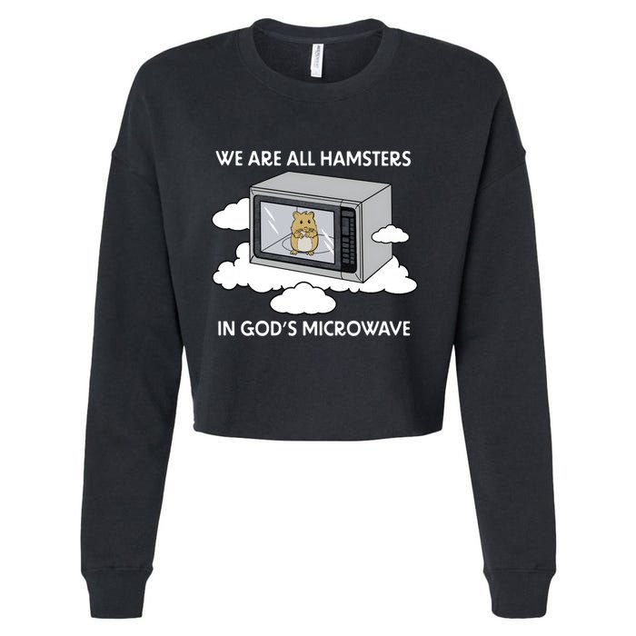 We Are All Hamsters In Gods Microwave Funny Cropped Pullover Crew