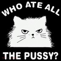 Who Ate All The Pussy Funny Cat Meme Humor Quote Sarcastic Womens T-Shirt