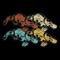 Wildlife Animal Australia Retro Platypus Womens Tank Top