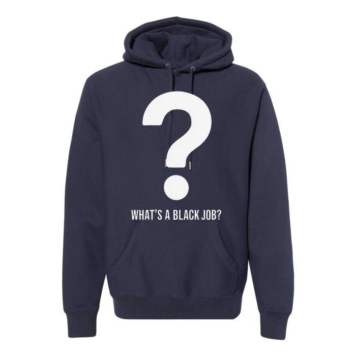 WhatS A Black Job Black Politics Black Professionals Premium Hoodie