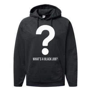 WhatS A Black Job Black Politics Black Professionals Performance Fleece Hoodie