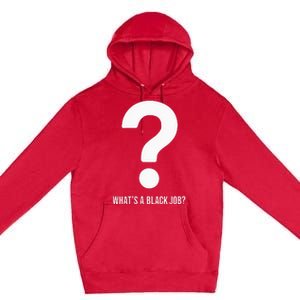 WhatS A Black Job Black Politics Black Professionals Premium Pullover Hoodie