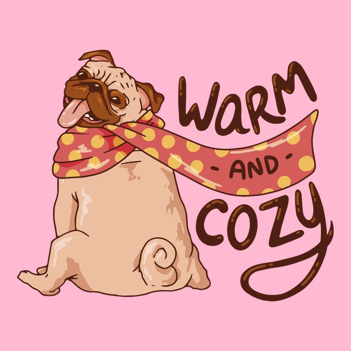 Warm And Cozy Pug Womens T-Shirt