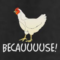 Why Are Chickens So Funny Because Funny Trending Meme 7 Panel Mesh Trucker Snapback Hat