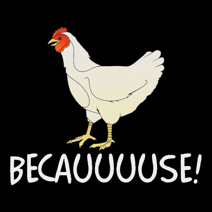 Why Are Chickens So Funny Because Funny Trending Meme Sustainable Bucket Hat